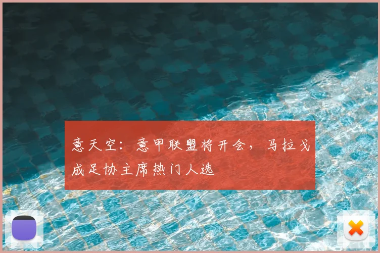 意天空:意甲联盟将开会,马拉戈成足协主席热门人选